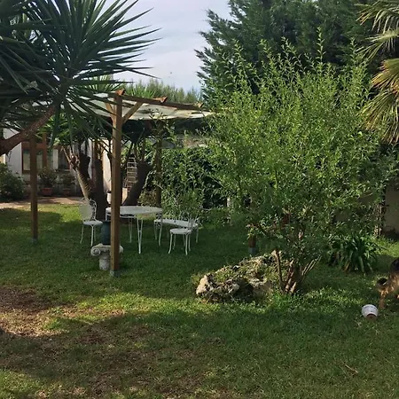 Daniela - In Appartamento